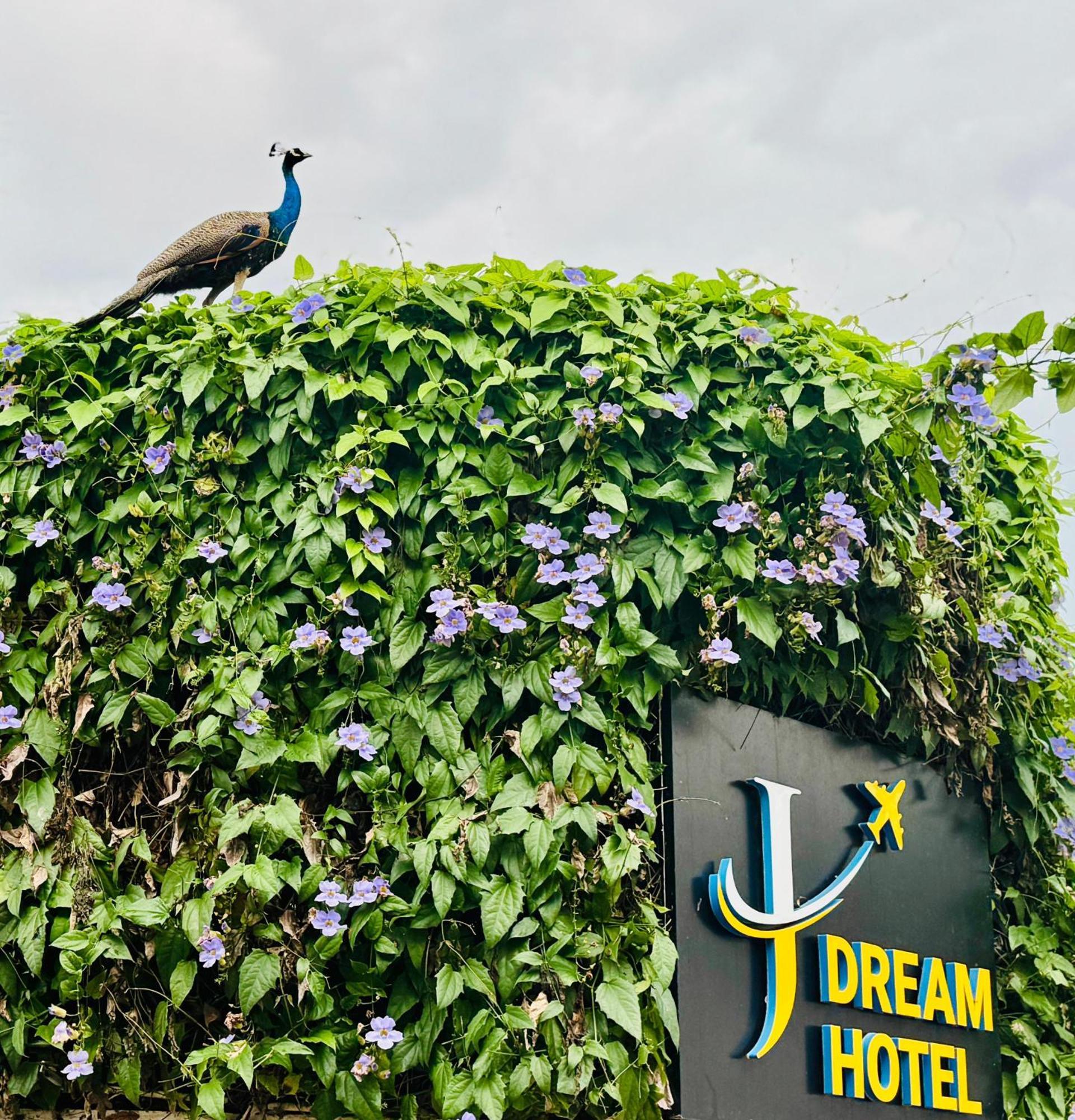Airport J Dream Resort Dewamottawa Eksteriør bilde
